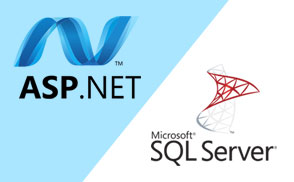 ASP.NET with SQL Server Course